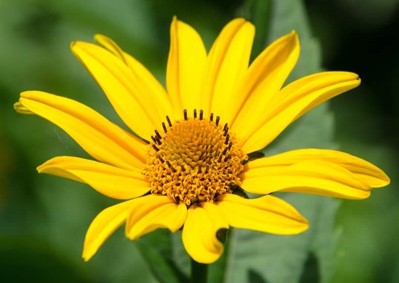 blog-thumb-2