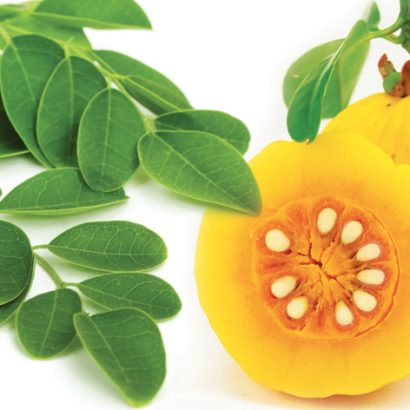 Moringa Garcinia