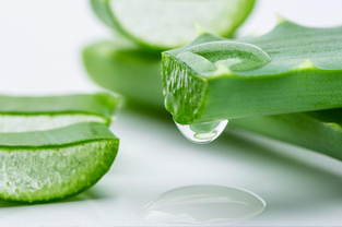 succo di aloe vera