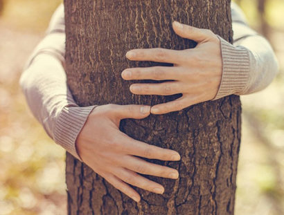 abbraccia un albero
