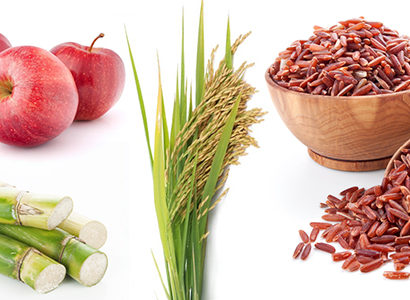 come controllare il colesterolo con sostanze naturali