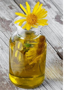 arnica_olio.jpg